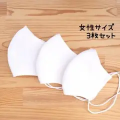 【コットンリネン】中学生〜女性サイズ 立体マスク 3枚セット 両面白 学校 仕事