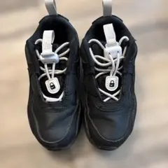 Nike Air Max キッズ17㎝