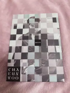 2025年最新】チャウヌ entityの人気アイテム - メルカリ