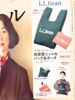リンネル11月号　L.L.Bean ニットバッグ ミニポーチ付き 付録のみ