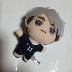 ハイキュー　みにコレ　ぬいぐるみマスコット5　宮治