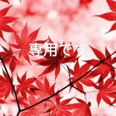 Hsyさま専用【美しいヌメ革】長財布　本革　大容量　刻印　ラウンドジップ Hsyさま専用【美しいヌメ革】長財布 本革 大容量 刻印 ラウンドジップ