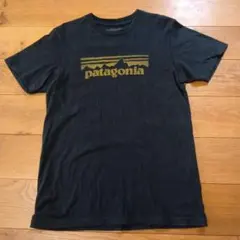patagonia メンズ S スリムフィット Tシャツ