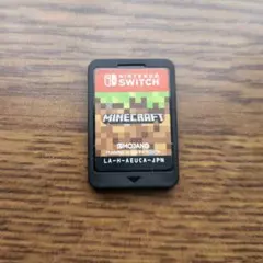 Minecraft Nintendo Switch