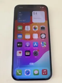 iPhone13 ProMAX 256GB