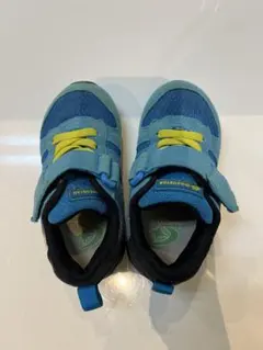 Item thumbnail for item 4d95549a-c63b-470e-b3d3-8aa3a30404d2