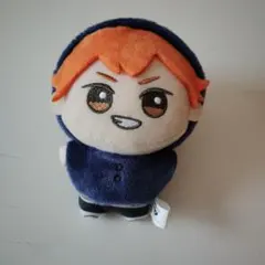 ハイキュー!! ちびぐるみ アニマルポンチョ vol.1 日向翔陽