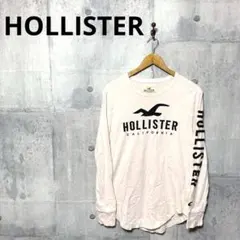 HOLLISTER ホリスター メンズ 袖ロゴ長袖カットソー S ピンクのサムネイル
