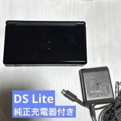 Nintendo DS Lite ジェットブラック　純正充電器付き