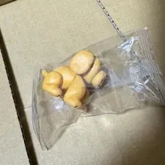 DAISUKE KONDO ガチャガチャ inu 犬