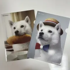 SoftBank クリアファイル 白い犬 お父さん 2枚セット