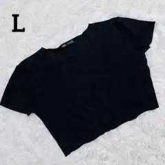 【ZARA】❣️美品❣️ザラ/クロップド /半袖 /トップス /L