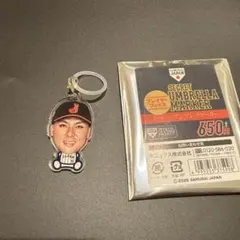 Item thumbnail for item 21cf77b6-3a75-47b4-9c70-1a4251bb87bd