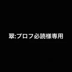 翠:プロフ必読様専用