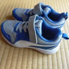 Item thumbnail for item dd5b6b78-6304-4ead-b0a2-777d3188149c