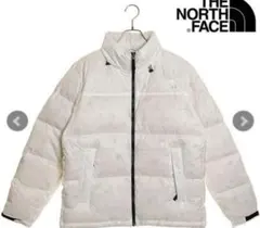 Item thumbnail for item 5c8c09f8-dc01-4b68-877d-f1397d240dfe