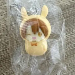 和泉三月 めじるし アクセサリー アイナナ