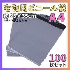 Item thumbnail for item 2d634ca0-0337-47c6-a8f3-1de00a3e61ab