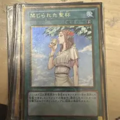 遊戯王1枚 禁じられた聖杯 24EP スターパラレル - メルカリ