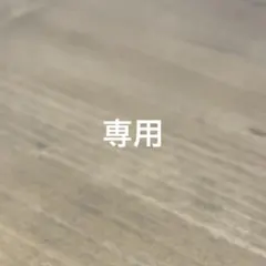 専用ページ