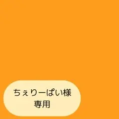 ちぇりーぱい様専用ページです