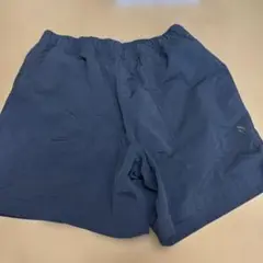 ノースフェイス　ウォーターストライダーショーツ　Ｌ