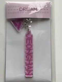 【入手困難】SEVENTEEN ジョンハン　アクリルキーリング　DREAM
