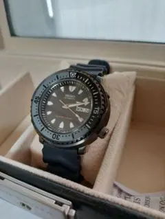 Item thumbnail for item ce287121-d33d-4434-b07c-753c9b52ac73