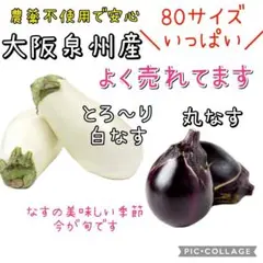 三茄子ページ 初夢 一富士二鷹三茄子 | Art, etc.