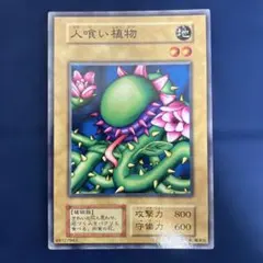 Item thumbnail for item 029653b1-da7c-4cd2-8c81-4b12762b0659