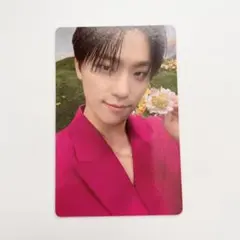 セブチ　SECTOR17 コンパクト盤　トレカ　ディノ