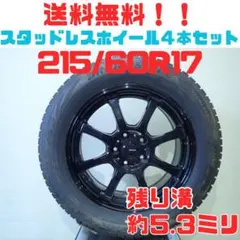 A112【送料無料】スタッドレスタイヤ ホイール 4本セット 195/60R17 A112【送料無料】スタッドレスタイヤ ホイール 4本セット 195/60R17