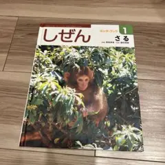 Item thumbnail for item 13c24ad4-d824-4a66-8032-8ab0975bfe09