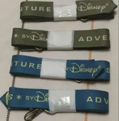 4個 Disney アドベンチャーディズニー ランヤード ストラップ 4本セット