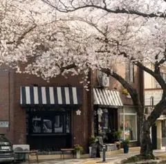 Item thumbnail for item ae41c906-8e7b-4cb0-9733-a8622747c88b