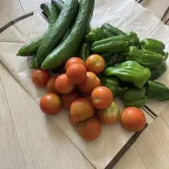 安曇野　朝採れ野菜　農薬・肥料なし　きゅうり・ピーマン・トマト60サイズのサムネイル