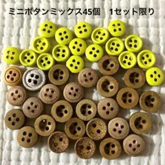 新品未使用　ウッドボタン　木のボタン　45個　ミニボタン色々ミックス