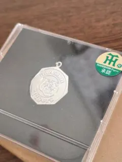 Item thumbnail for item 12807659-7bcf-4696-b602-fb3153940e74