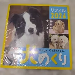 Item thumbnail for item a166b65c-8d1c-461a-900e-5b2213f7ba46