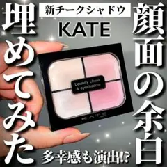 1/24発売☆新作ケイトバウンシーチークシャドウPK1