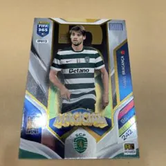 panini soccer DANIEL BRAGANCA