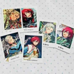 Adam 乱凪砂　七種 茨　パシャッツ　ぱしゃこれ　まとめ売り