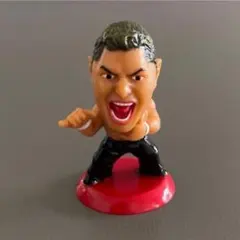 미개봉 プロ格ヒーローズ 太陽 ケア