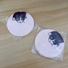 【猫】【ハチワレ】コースター2個セット