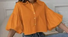 Item thumbnail for item 180761fd-5300-49f7-8b5f-655f593e7eea