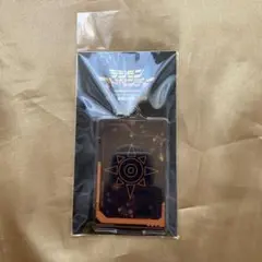 2025年最新】piica デジモンの人気アイテム - メルカリ