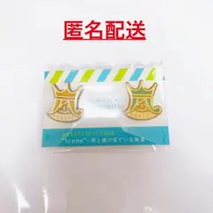 嵐 ピンバッジ 国立競技場ver. 君と僕の見ている風景　会場限定