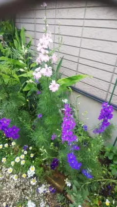 Item thumbnail for item 35c2e28d-6771-4c83-a05c-e6c6151b058d