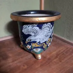 鷹絵 富貴蘭鉢（サナつき）のサムネイル