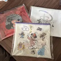 Disney 100周年記念 フラットポーチ